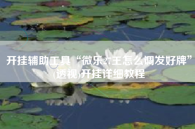 开挂辅助工具“微乐27王怎么调发好牌	”(透视)开挂详细教程