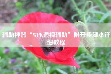 辅助神器“WPK透视辅助	”附开挂脚本详细教程