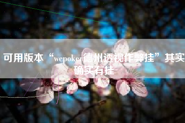 可用版本“wepoker德州透视作弊挂”其实确实有挂