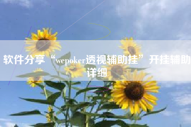 软件分享“wepoker透视辅助挂”开挂辅助详细