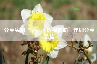 分享实测“AGpoker透视辅助”详细分享装挂