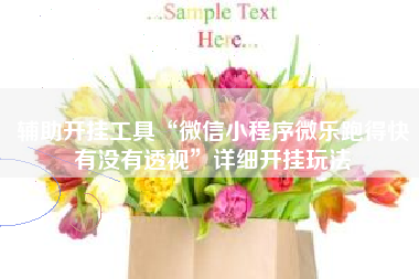 辅助开挂工具“微信小程序微乐跑得快有没有透视	”详细开挂玩法