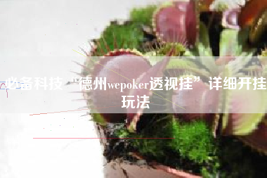 必备科技“德州wepoker透视挂”详细开挂玩法