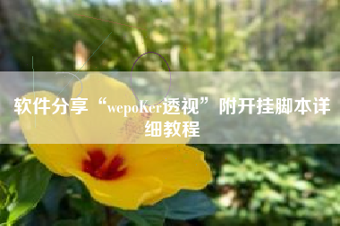 软件分享“wepoKer透视”附开挂脚本详细教程 软件分享“wepoKer透视”附开挂脚本详细教程