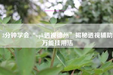 3分钟学会“wpk透视德州”揭秘透视辅助万能挂用法