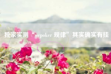 独家实测“wepoker 规律”其实确实有挂