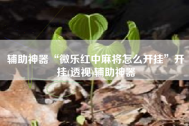 辅助神器“微乐红中麻将怎么开挂	”开挂(透视)辅助神器