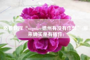 必看教程“wepoker德州有没有作弊”(原来确实是有插件)
