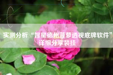 实测分析“智星德州菠萝透视底牌软件”详细分享装挂