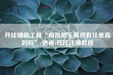 开挂辅助工具“南昌微乐麻将有挂是真的吗	”(透视)开挂详细教程