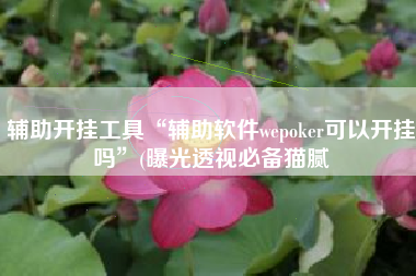 辅助开挂工具“辅助软件wepoker可以开挂吗”(曝光透视必备猫腻