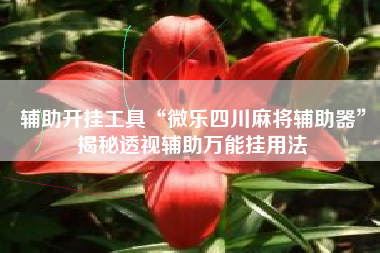 辅助开挂工具“微乐四川麻将辅助器	”揭秘透视辅助万能挂用法