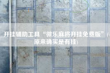 开挂辅助工具“微乐麻将开挂免费版”(原来确实是有挂)