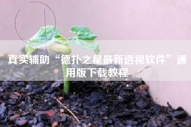 真实辅助“德扑之星最新透视软件”通用版下载教程