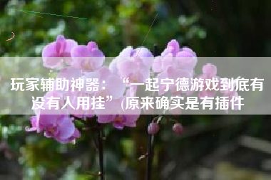 玩家辅助神器：“一起宁德游戏到底有没有人用挂	”(原来确实是有插件