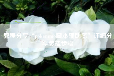 教程分享“pokemmo脚本辅助器	”详细分享装挂步骤