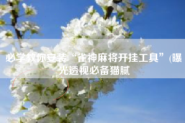 必学教你安装“雀神麻将开挂工具”(曝光透视必备猫腻