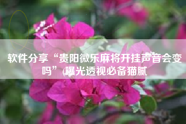 软件分享“贵阳微乐麻将开挂声音会变吗”(曝光透视必备猫腻