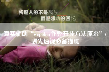 真实辅助“wepoker作弊开挂方法原来”(曝光透视必备猫腻