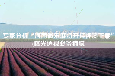 专家分析“河南微乐麻将开挂神器下载”(曝光透视必备猫腻