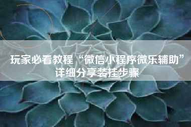 玩家必看教程“微信小程序微乐辅助”详细分享装挂步骤