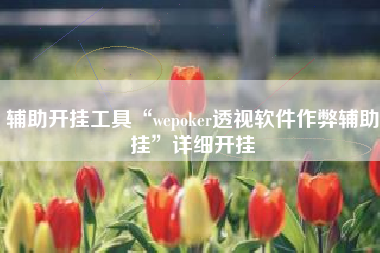 辅助开挂工具“wepoker透视软件作弊辅助挂”详细开挂