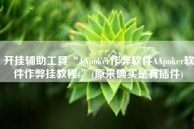 开挂辅助工具“AApoker作弊软件AApoker软件作弊挂教程(”(原来确实是有插件)