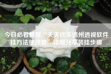 今日必看教程“天天欢乐德州透视软件挂方法使用教”详细分享装挂步骤