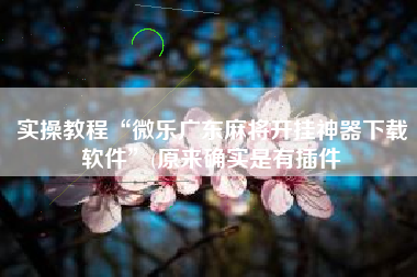 实操教程“微乐广东麻将开挂神器下载软件	”(原来确实是有插件