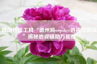 辅助开挂工具“德州局wepoker透视作弊挂”揭秘透视辅助万能挂