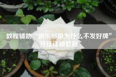 教程辅助“微乐够级为什么不发好牌”开挂详细教程