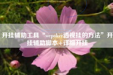 开挂辅助工具“wepoker透视挂的方法”开挂辅助脚本+详细开挂