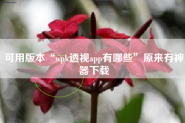 可用版本“wpk透视app有哪些”原来有神器下载