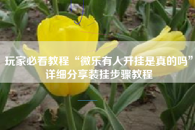 玩家必看教程“微乐有人开挂是真的吗	”详细分享装挂步骤教程