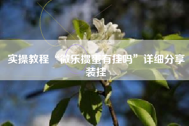 实操教程“微乐掼蛋有挂吗”详细分享装挂