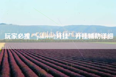 玩家必搜“pokerrr2开挂”开挂辅助详细