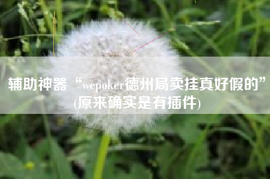 辅助神器“wepoker德州局卖挂真好假的”(原来确实是有插件)