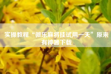 实操教程“微乐麻将挂试用一天	”原来有神器下载