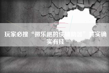 玩家必搜“微乐跑的快辅助器”其实确实有挂