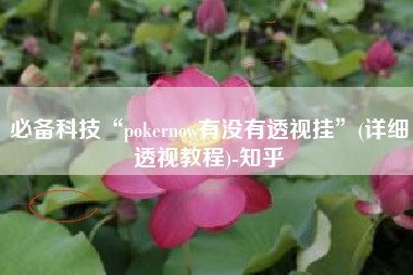 必备科技“pokernow有没有透视挂”(详细透视教程)-知乎