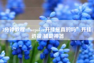 3分钟教程“wepoker开挂是真的吗	”开挂(透视)辅助神器