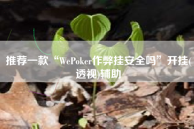 推荐一款“WePoker作弊挂安全吗”开挂(透视)辅助