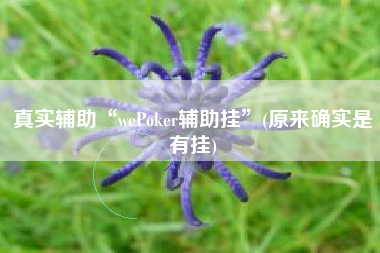 真实辅助“wePoker辅助挂”(原来确实是有挂)