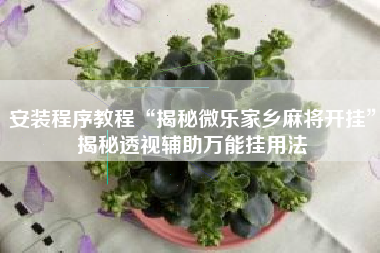 安装程序教程“揭秘微乐家乡麻将开挂	”揭秘透视辅助万能挂用法