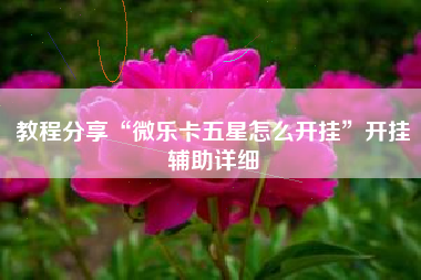 教程分享“微乐卡五星怎么开挂	”开挂辅助详细