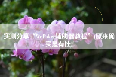 实测分享“WePoker辅助器教程	”(原来确实是有挂)