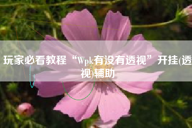 玩家必看教程“Wpk有没有透视	”开挂(透视)辅助
