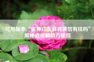 可用版本“雀神广东麻将微信有挂吗	”揭秘透视辅助万能挂