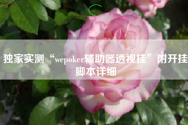 独家实测“wepoker辅助器透视挂”附开挂脚本详细