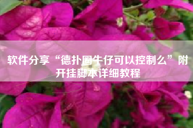 软件分享“德扑圈牛仔可以控制么	”附开挂脚本详细教程